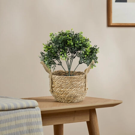 BUXUS 20387 Τεχνητό Διακοσμητικό Φυτό Πυξός Υ30cm -  Sticky 5
