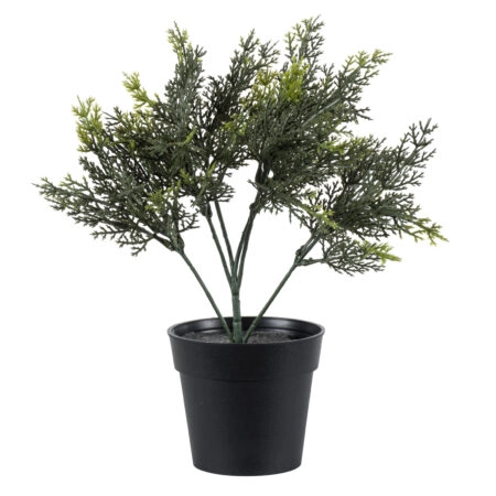 LEMON CYPRESS 20389 Τεχνητό Διακοσμητικό Φυτό Λεμονόκυπάρισσο Υ30cm - 