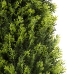 CYPRESSUS SEMPERVIRENS 20393 Artificial Decorative Plant Mediterranean Cypress H90cm