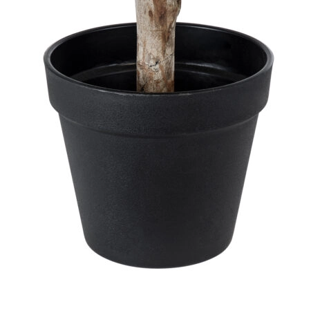 FICUS BENJAMINA TREE 20397 Τεχνητό Διακοσμητικό Φυτό Φίκος Μπενζαμίνη Υ35cm - Τεχνητοι Φικοι Sticky 3