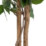 FICUS BENJAMINA TREE 20415 Τεχνητό Διακοσμητικό Φυτό Φίκος Μπενζαμίνη Υ120cm