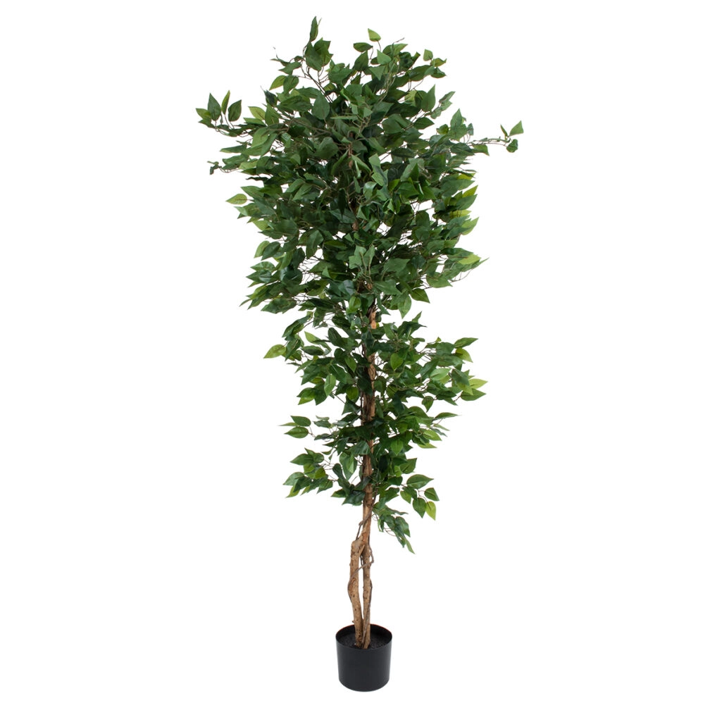 FICUS BENJAMINA TREE 20416 - Artificial Decorative Plant Ficus Benjamina H180cm