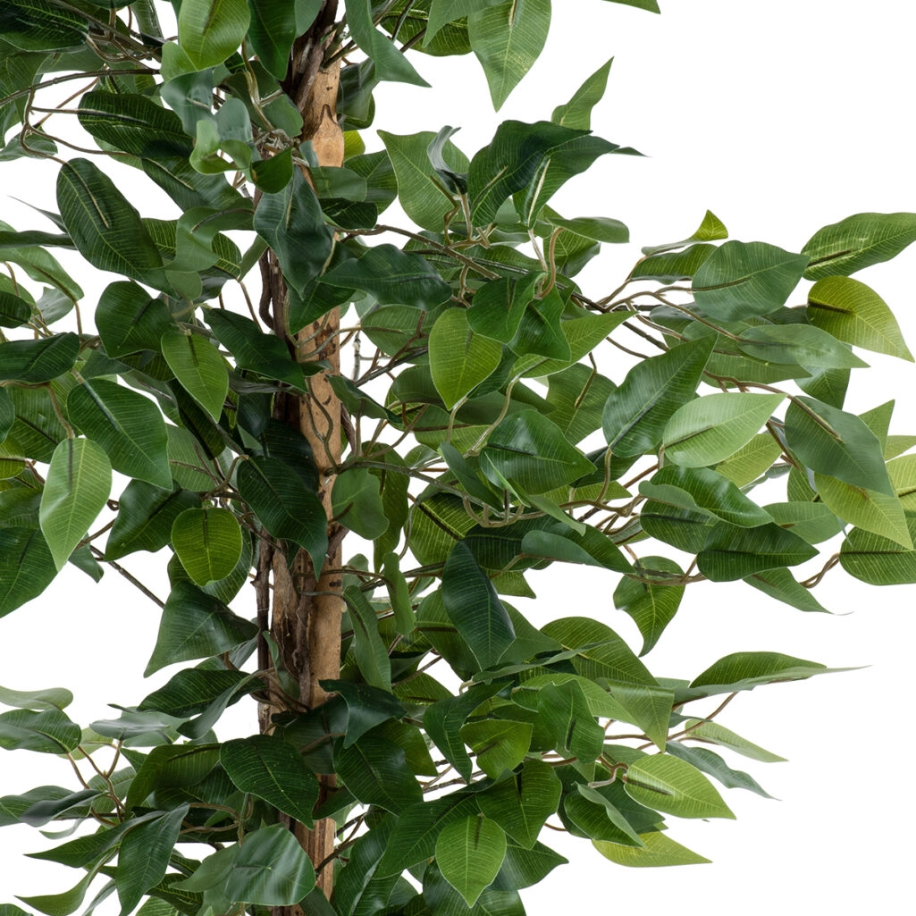 FICUS BENJAMINA TREE 20416 - Artificial Decorative Plant Ficus Benjamina H180cm