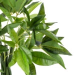 PACHIRA GLABRA 20427 Artificial Decorative Plant Pachira of Fortune H90cm