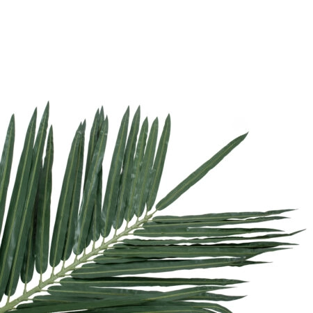 COCONUT PALM TREE 20436 Τεχνητό Διακοσμητικό Φοινικόδεντρο Κοκοφοίνικας Υ600cm - Τεχνητοι Φοινικες Sticky 1