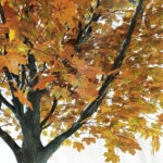 ACER RUBRUM SYCAMORE TREE 20437 Τεχνητό Διακοσμητικό Δέντρο Κόκκινος Σφένδαμος Υ400cm