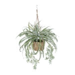 CHLOROPHYTUM COMOSUM HANGING PLANT 20638 Τεχνητό Κρεμαστό Διακοσμητικό Χλωρόφυτο  Y50cm
