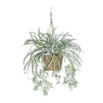 CHLOROPHYTUM COMOSUM HANGING PLANT 20638 Τεχνητό Κρεμαστό Διακοσμητικό Χλωρόφυτο  Y50cm