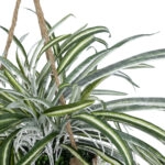 CHLOROPHYTUM COMOSUM HANGING PLANT 20638 Τεχνητό Κρεμαστό Διακοσμητικό Χλωρόφυτο  Y50cm