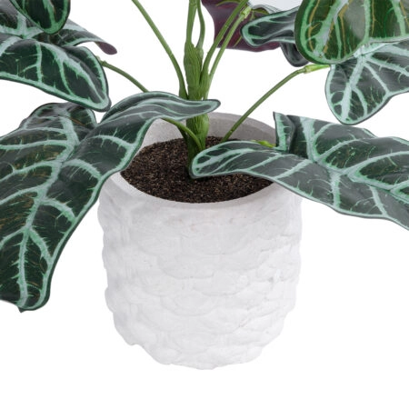 ALOCASIA 20886 Τεχνητό Διακοσμητικό Φυτό Αλοκασία Φ38 x Υ33cm -  Sticky 2