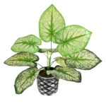 CALADIUM 20889 Τεχνητό Διακοσμητικό Φυτό Τροπικό Καλάδιο Φ40 x Υ33cm
