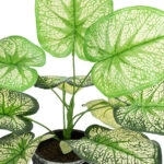 CALADIUM 20889 Τεχνητό Διακοσμητικό Φυτό Τροπικό Καλάδιο Φ40 x Υ33cm