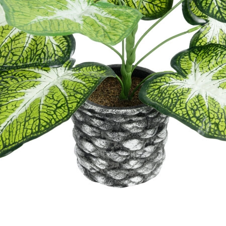 CALADIUM 20890 Τεχνητό Διακοσμητικό Φυτό Τροπικό Φυτό  Φ40 x Υ33cm - Τροπικα και Ιδιαιτερα Τεχνητα φυτα Sticky 2