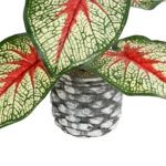 CALADIUM 20891 Τεχνητό Διακοσμητικό Φυτό Τροπικό Φυτό Καλάδιο Φ40 x Υ33cm