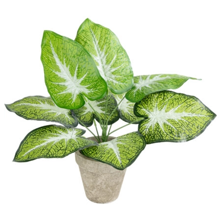 CALADIUM POTTED PLANT 20894 Διακοσμητικό Φυτό Καλάντιουμ Φ40 x Υ33cm - Τροπικα και Ιδιαιτερα Τεχνητα φυτα