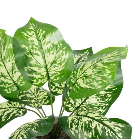 DIEFFENBACHIA POTTED PLANT 20897 Διακοσμητικό Φυτό Διφενμπάχια Φ40 x Υ33cm -  Sticky 1