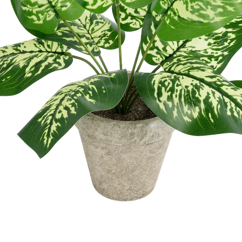 DIEFFENBACHIA POTTED PLANT 20897 Διακοσμητικό Φυτό Διφενμπάχια Φ40 x Υ33cm