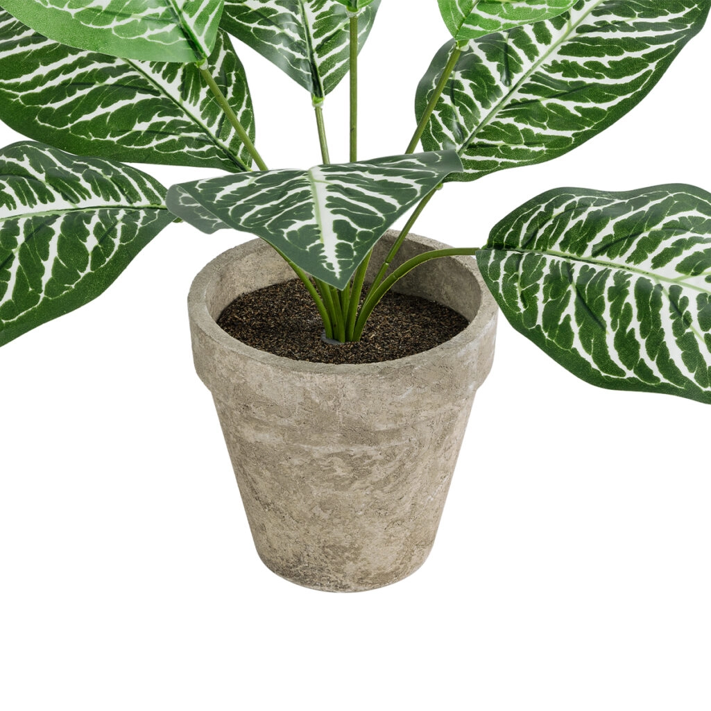 ZEBRA POTTED PLANT 20898 Διακοσμητικό Φυτό Ζέμπρα Φ40 x Υ33cm