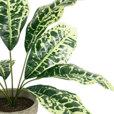 YELLOW AGLAONEMA POTTED PLANT 20902 Διακοσμητικό Φυτό Κίτρινο Αγλαόνημα Φ40 x Υ33cm - Τροπικα και Ιδιαιτερα Τεχνητα φυτα Sticky 1