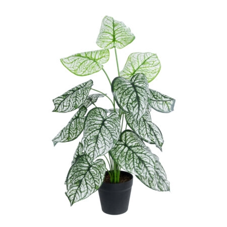 CALADIUM 20908 Διακοσμητικό Φυτό Καλάδια Υ75cm - Τροπικα και Ιδιαιτερα Τεχνητα φυτα