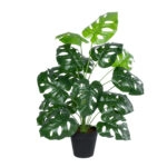 MONSTERA PLANT 20909 - Διακοσμητικό Φυτό Μονστέρα Φ50 x Υ75cm