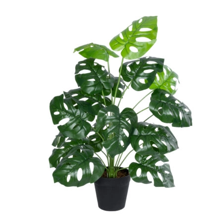 MONSTERA PLANT 20909 - Διακοσμητικό Φυτό Μονστέρα Φ50 x Υ75cm