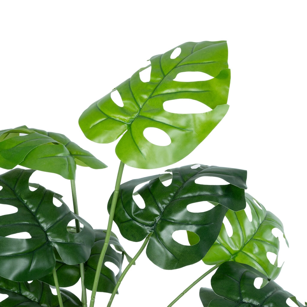 MONSTERA PLANT 20909 - Διακοσμητικό Φυτό Μονστέρα Φ50 x Υ75cm