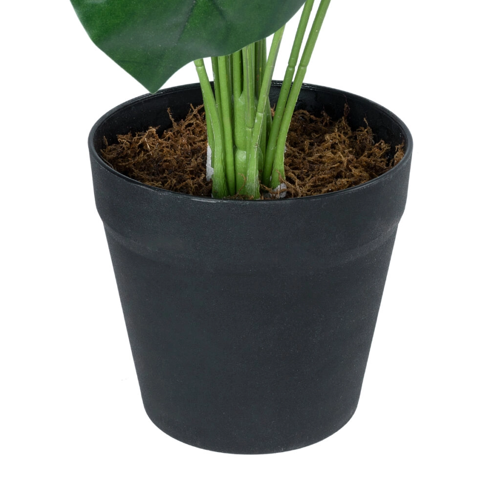 MONSTERA PLANT 20909 - Διακοσμητικό Φυτό Μονστέρα Φ50 x Υ75cm