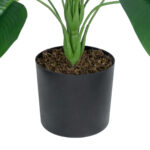 YOUNG BANANA PLANT 20916 - Διακοσμητικό Φυτό Νεαρή Μπανανιά Φ82 x Υ80cm