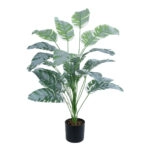 BANANA ZEBRA PLANT 20919 - Διακοσμητικό Φυτό Μπανανιά Ζέβρα Φ78 x Υ80cm