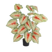 CALADIUM PLANT 20921 Διακοσμητικό Φυτό Καλάντιουμ Φ75 x Υ80cm - Τροπικα και Ιδιαιτερα Τεχνητα φυτα