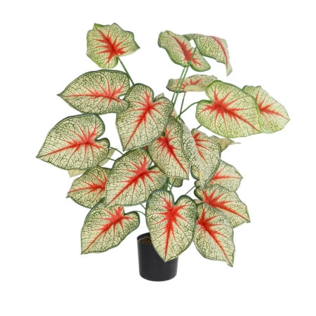 CALADIUM PLANT 20921 Διακοσμητικό Φυτό Καλάντιουμ Φ75 x Υ80cm - Τροπικα και Ιδιαιτερα Τεχνητα φυτα