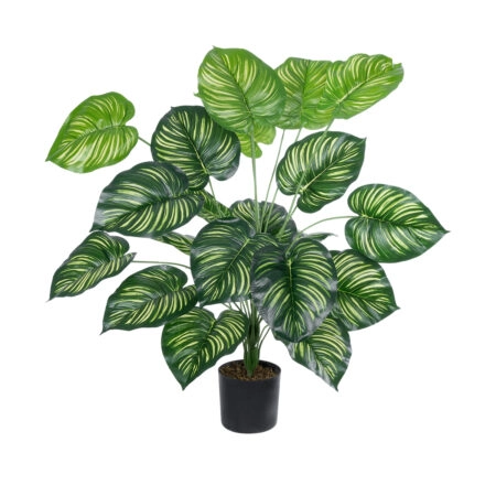 CALATHEA PLANT 20922 Διακοσμητικό Φυτό Καλαθέα Φ70 x Υ80cm - Τροπικα και Ιδιαιτερα Τεχνητα φυτα