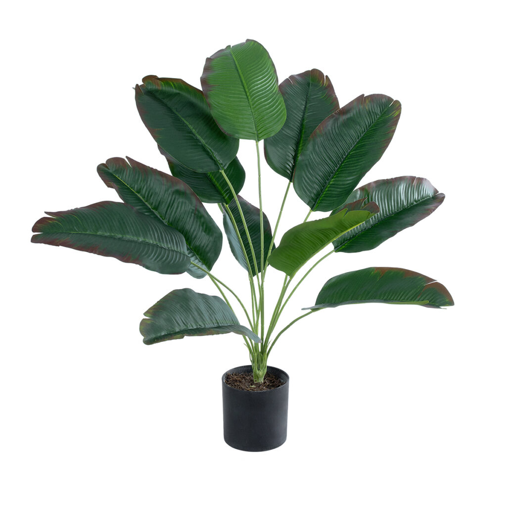 BANANA PLANT 20928 - Διακοσμητικό Φυτό Μπανανιά Φ70 x Υ55cm