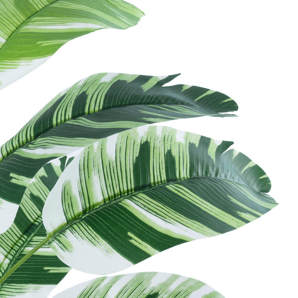 BANANA PLANT ZEBRA 20929 - Διακοσμητικό Φυτό Μπανανιά Ζέβρα Φ70 x Υ55cm