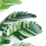 BANANA PLANT ZEBRA 20929 - Διακοσμητικό Φυτό Μπανανιά Ζέβρα Φ70 x Υ55cm