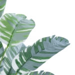 BANANA PLANT ZEBRA 20930 - Διακοσμητικό Φυτό Μπανανιά Ζέβρα Φ70 x Υ55cm