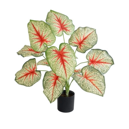 CALADIUM PLANT 20932 Διακοσμητικό Φυτό Καλάντιουμ Φ58 x Υ55cm - Τροπικα και Ιδιαιτερα Τεχνητα φυτα