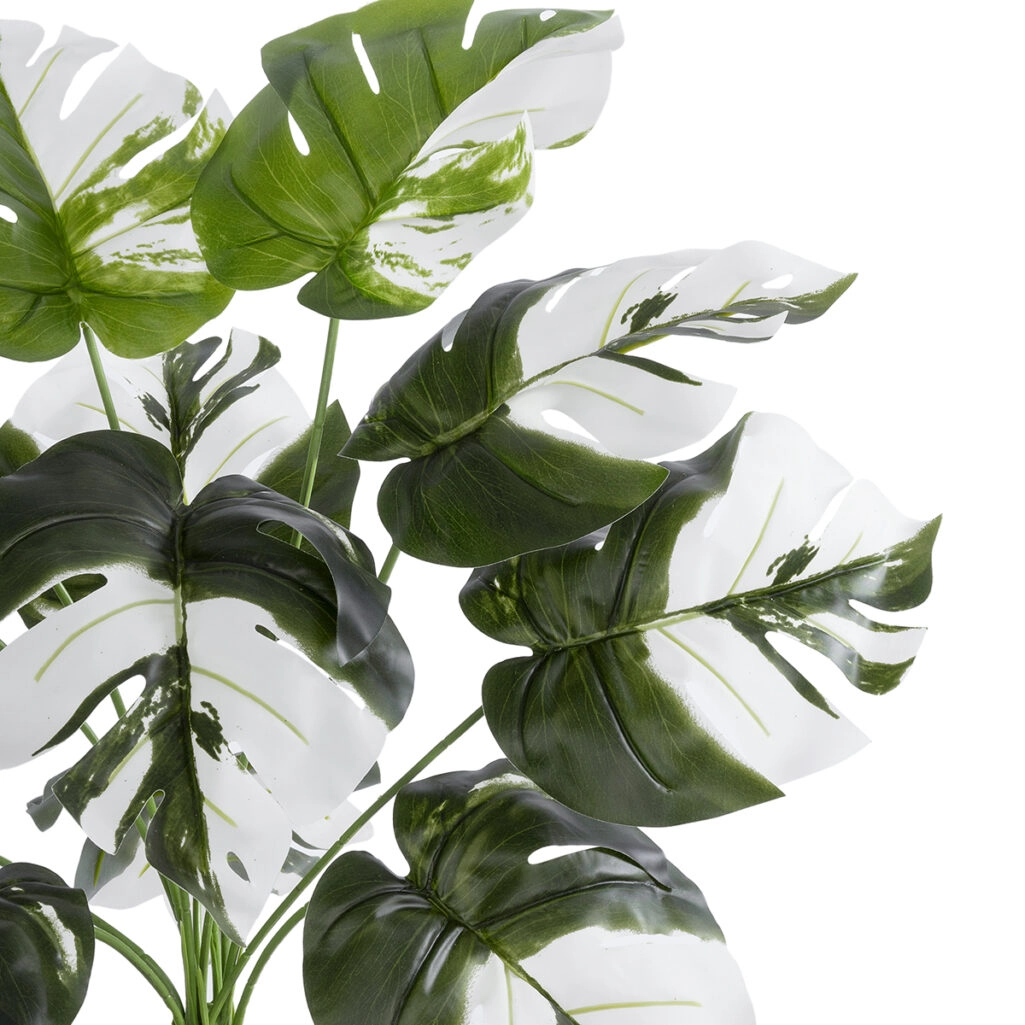 ALBINO MONSTERA PLANT 20935 - Διακοσμητικό Φυτό Λευκή Μονστέρα Φ60 x Υ55cm