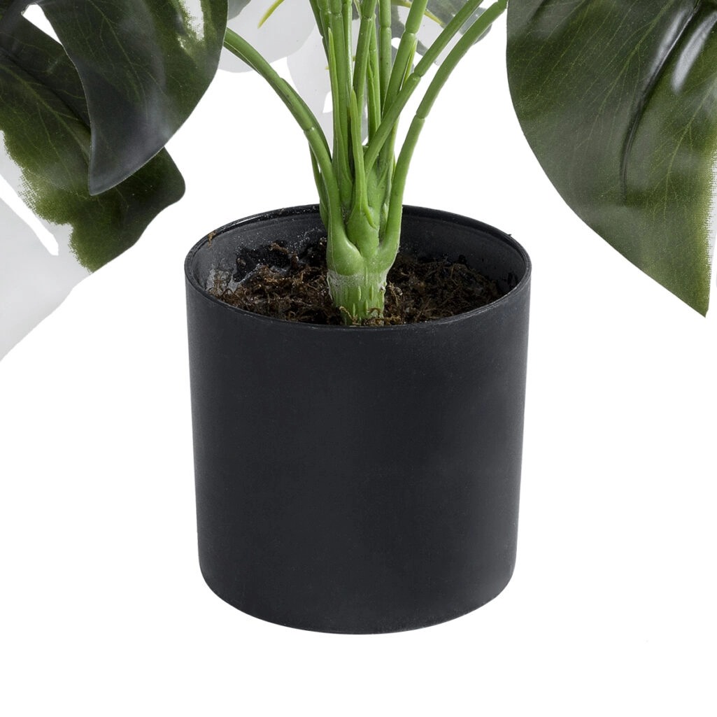 ALBINO MONSTERA PLANT 20935 - Διακοσμητικό Φυτό Λευκή Μονστέρα Φ60 x Υ55cm