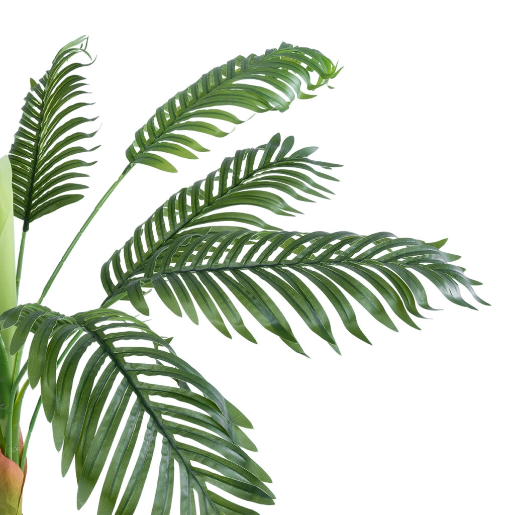 ARECA PALM PLANT 20936 - Διακοσμητικό Φυτό Αρέκα Φ94 x Υ90cm