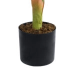 ARECA PALM PLANT 20936 - Διακοσμητικό Φυτό Αρέκα Φ94 x Υ90cm