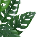 MONSTERA PLANT 20937 - Διακοσμητικό Φυτό Μονστέρα Φ90 x Υ80cm