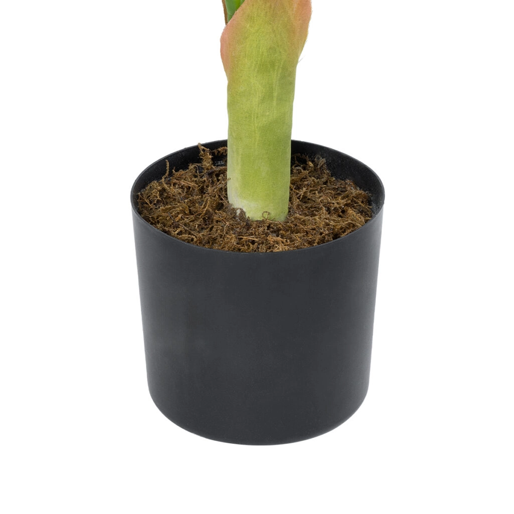 MONSTERA PLANT 20937 - Διακοσμητικό Φυτό Μονστέρα Φ90 x Υ80cm