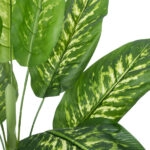 CALATHEA PLANT 20940 Διακοσμητικό Φυτό Καλαθέα Φ80 x Υ90cm
