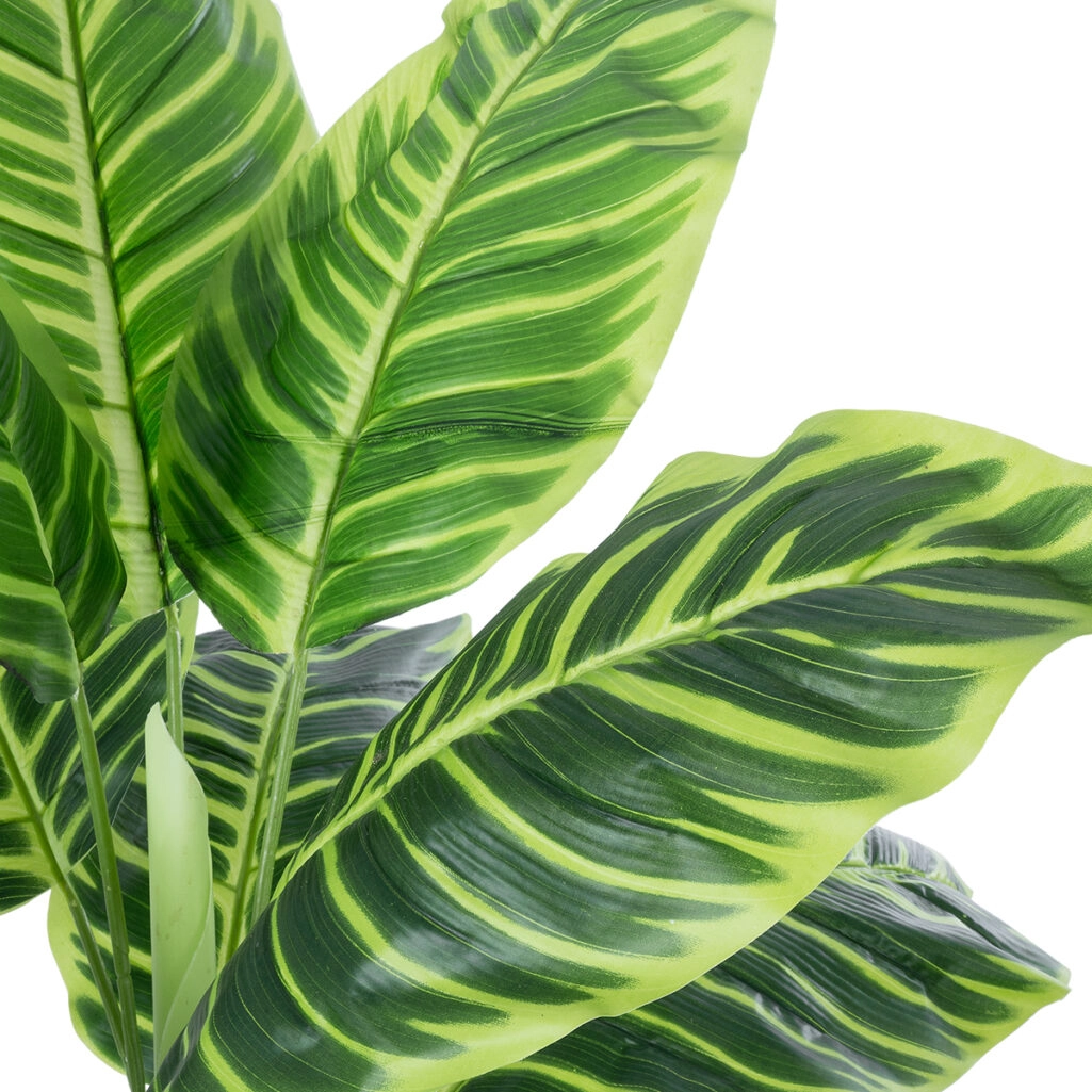 YELLOW ZEBRA PLANT 20942 Artificial Decorative Yellow Zebra Plant Φ75 x H90cm