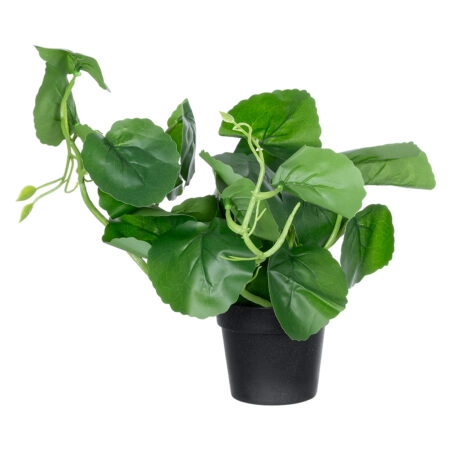 BELL PLANT 20957 Διακοσμητικό Φυτό Σεφλέρα Φ47 x Υ22cm - Τροπικα και Ιδιαιτερα Τεχνητα φυτα