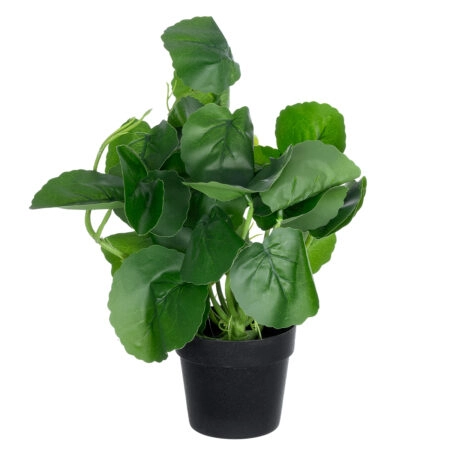 BELL PLANT 20957 Διακοσμητικό Φυτό Σεφλέρα Φ47 x Υ22cm - Τροπικα και Ιδιαιτερα Τεχνητα φυτα Sticky 2