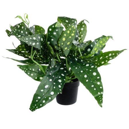 BEGONIA POLKA DOT PLANT 20959 Διακοσμητικό Φυτό Βιγόνια Φ50 x Υ22cm - Τροπικα και Ιδιαιτερα Τεχνητα φυτα