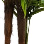 ARECA PALM TREE 20967 - Τεχνητό Διακοσμητικό Φυτό Αρέκα Φ110 x Υ170cm